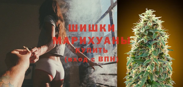 дживик Мегион