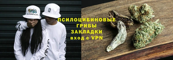 сатива Медногорск
