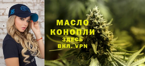 дживик Мегион